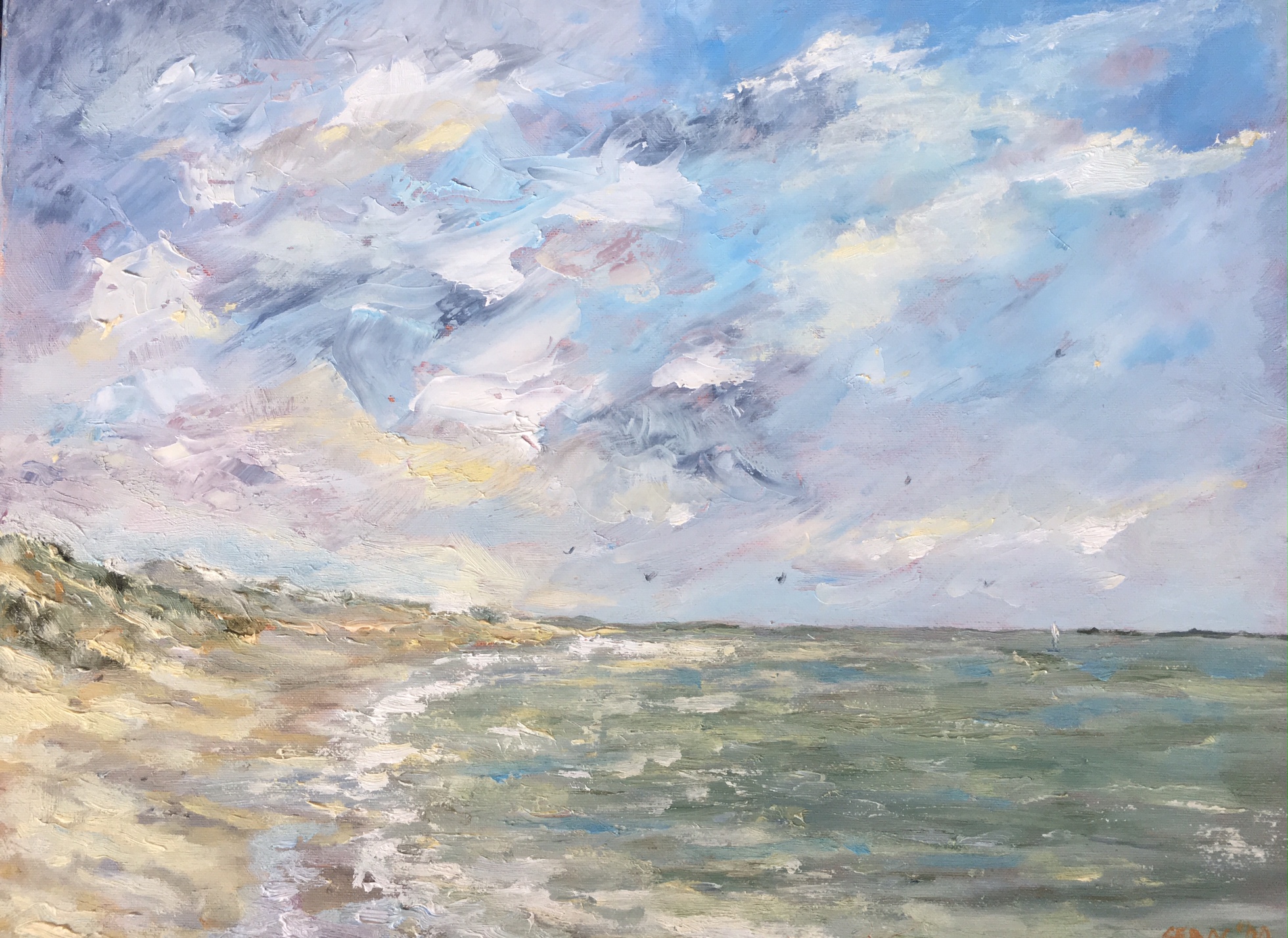 SebasArt-ZOUTELANDE-I-Olieverf-op-doek-50x60cm-Plein-air-2019